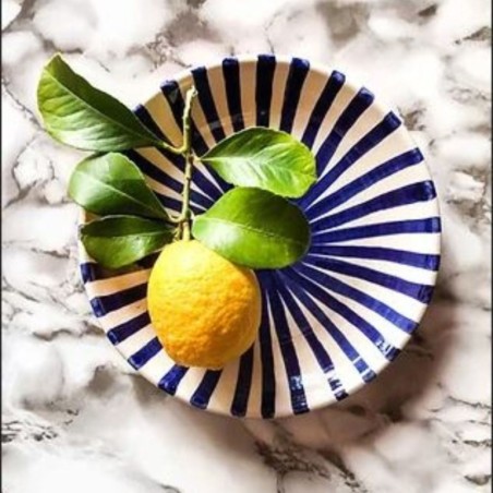 Assiette rayon en terre cuite artisanale