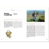 AZUL - A Week Abroad - A Week Abroad : Sicilia