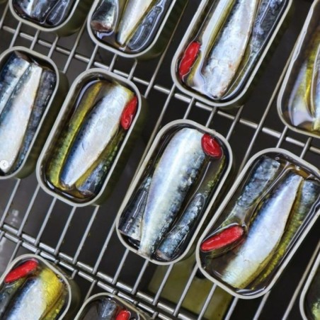 AZUL - Saboreal - Papa Anzóis - Sardines à l'huile d'olive vierge et à la tomate piquante