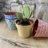 Grand cache pot ethnic