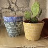 Grand cache pot ethnic