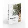 AZUL - Provence, Catherine Roig
