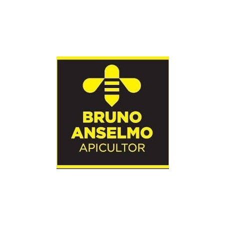 Bruno Anselmo Apiculteur