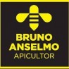Bruno Anselmo Apiculteur